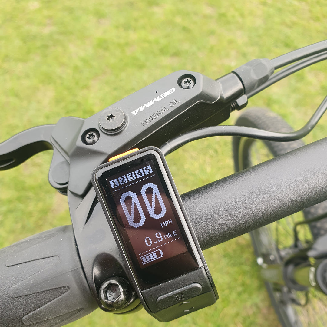 ebike display settings. ersin ebike display settings