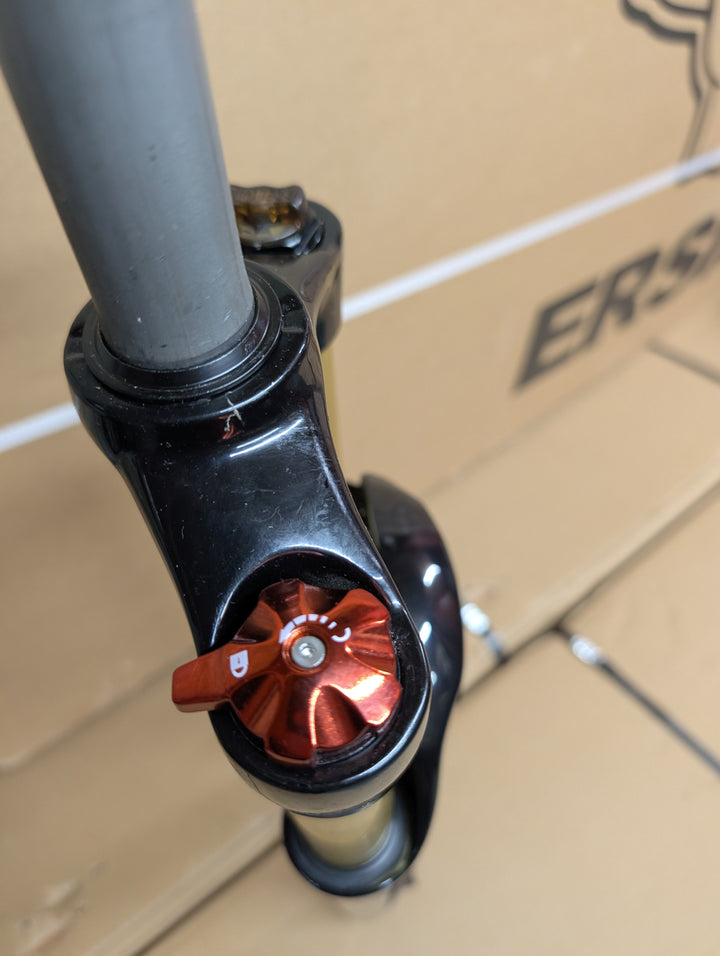 Mozo Gold forks